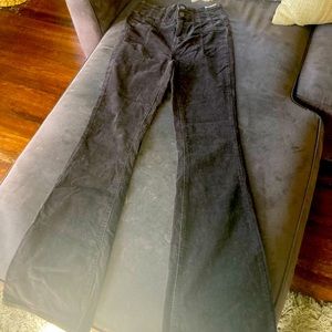 free people Brand new mushroom cord high rise flare